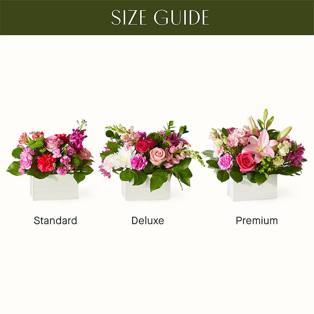 Sweetberry Box – A Florist Original – Blossom Flowers And Gift, Lauderhill FL