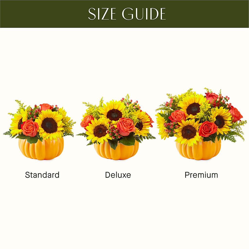 Pick of the Patch Pumpkin Bouquet – Blossom Flowers And Gift, Lauderhill FL