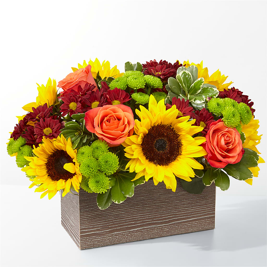 Happy Harvest Garden – Blossom Flowers And Gift, Lauderhill FL