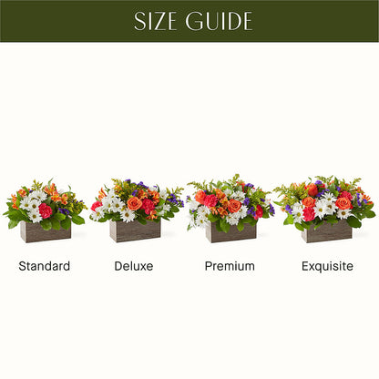 Oopsie Daisy Box Bouquet –  Blossom Flowers And Gift, Lauderhill FL