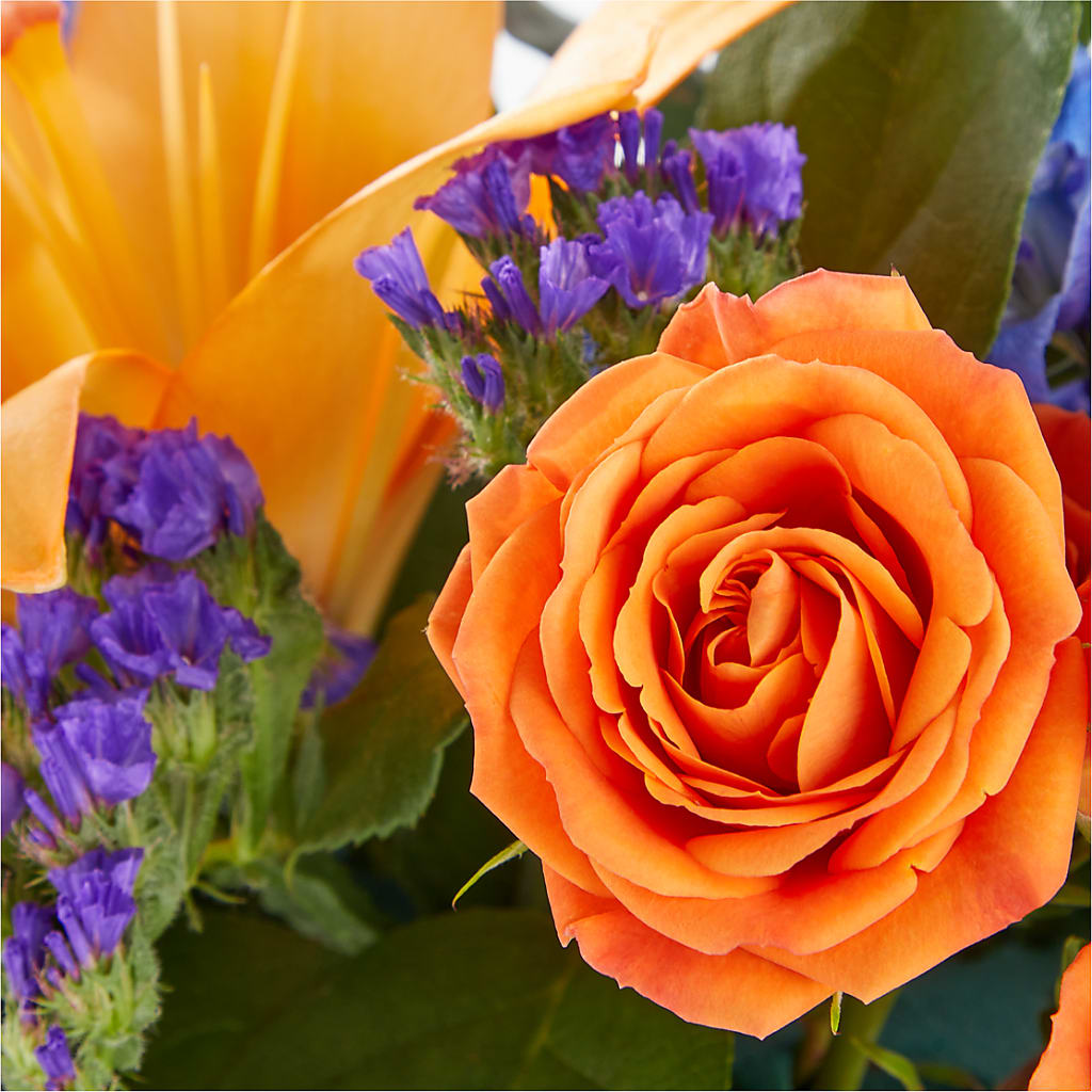 Radiant Citrus Box Bouquet –  Blossom Flowers And Gift, Lauderhill FL