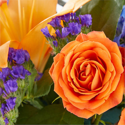 Radiant Citrus Box Bouquet –  Blossom Flowers And Gift, Lauderhill FL