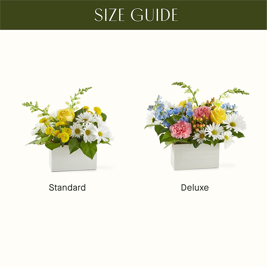 Sun Salutation Box Bouquet –  Blossom Flowers And Gift, Lauderhill FL