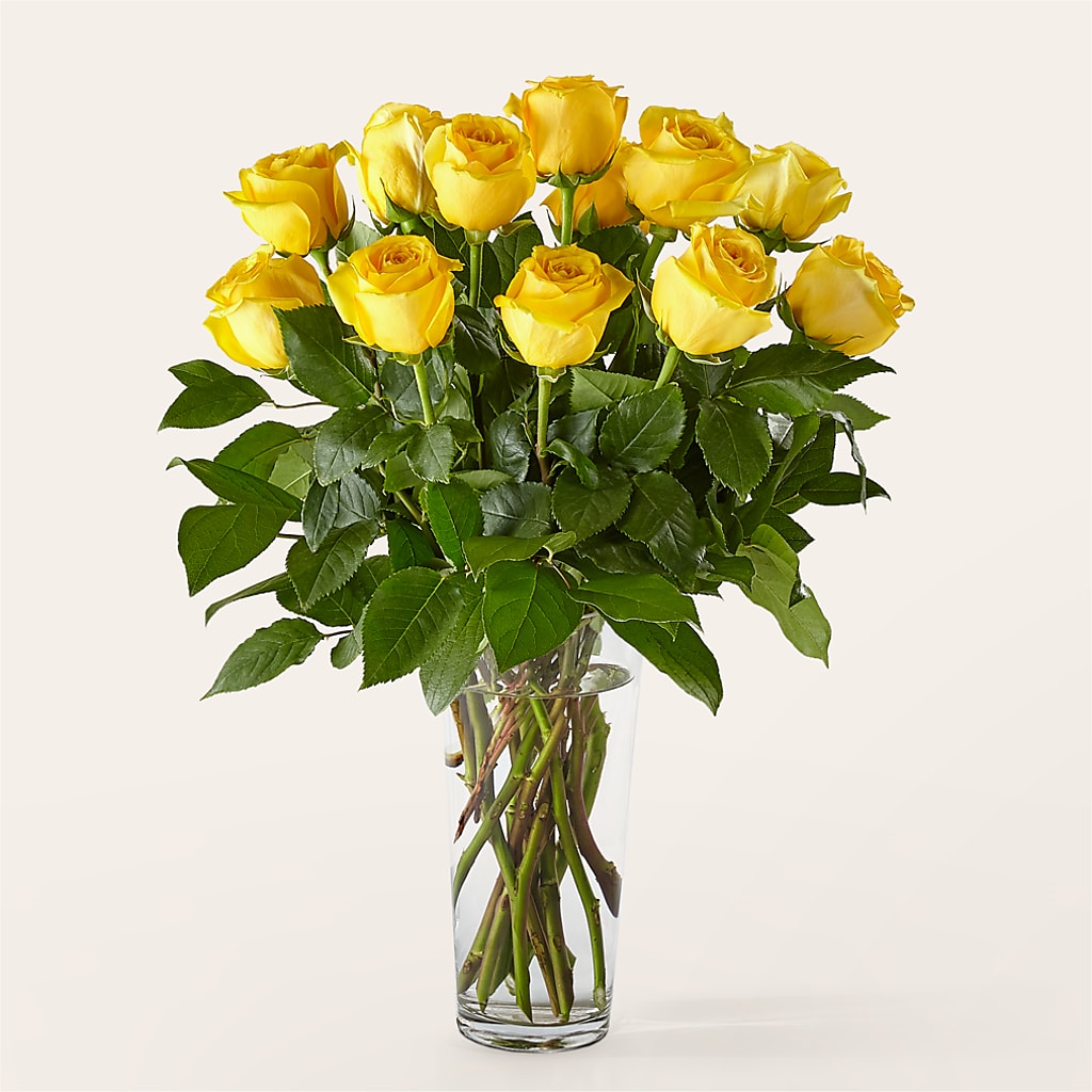 Long Stem Yellow Rose Bouquet –  Blossom Flowers And Gift, Lauderhill FL