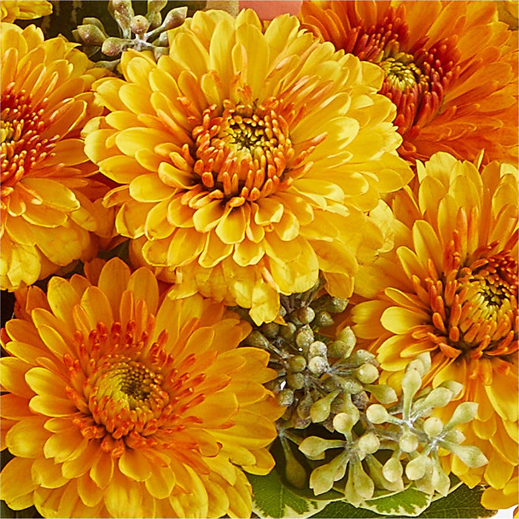 Peachy Pumpkin –  Blossom Flowers And Gift, Lauderhill FL