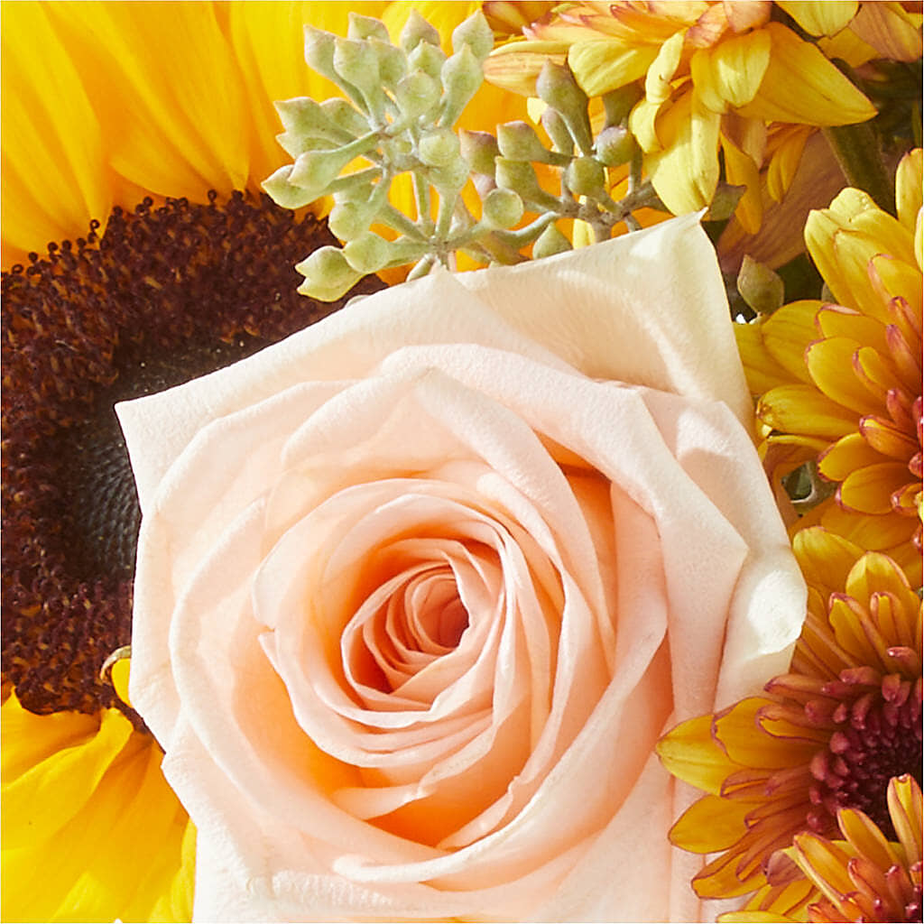 Pumpkin to Talk About Bouquet –  Blossom Flowers And Gift, Lauderhill FL