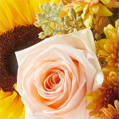Pumpkin to Talk About Bouquet –  Blossom Flowers And Gift, Lauderhill FL