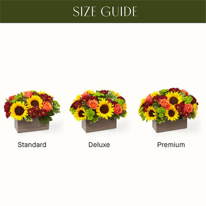 Happy Harvest Garden –  Blossom Flowers And Gift, Lauderhill FL