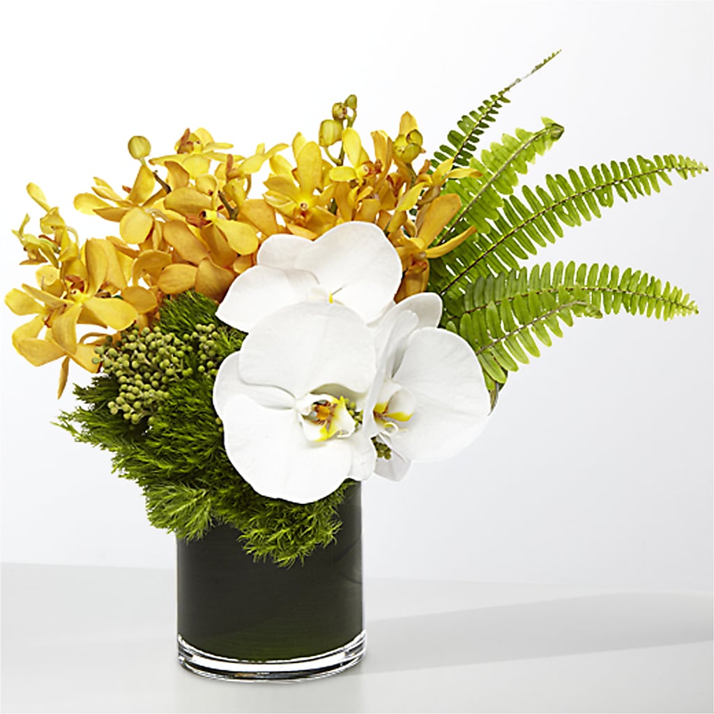 The Tropics –  Blossom Flowers And Gift, Lauderhill FL