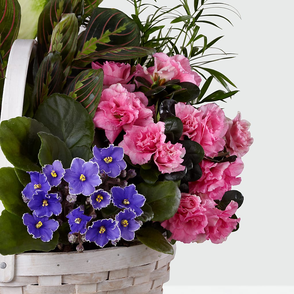 Peaceful Garden Planter –  Blossom Flowers And Gift, Lauderhill FL
