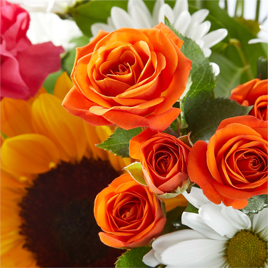 Sun-drenched Blooms Bouquet –  Blossom Flowers And Gift, Lauderhill FL