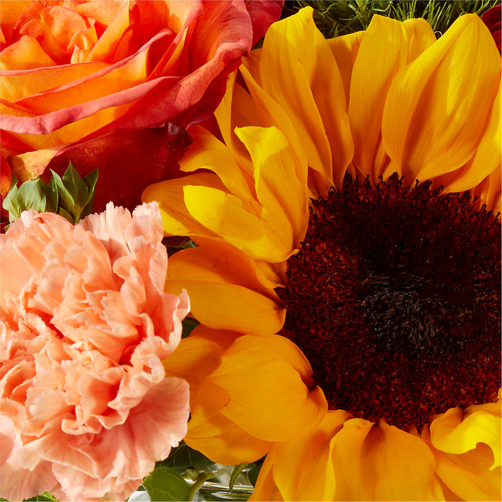 Harvest Festival Bouquet –  Blossom Flowers And Gift, Lauderhill FL