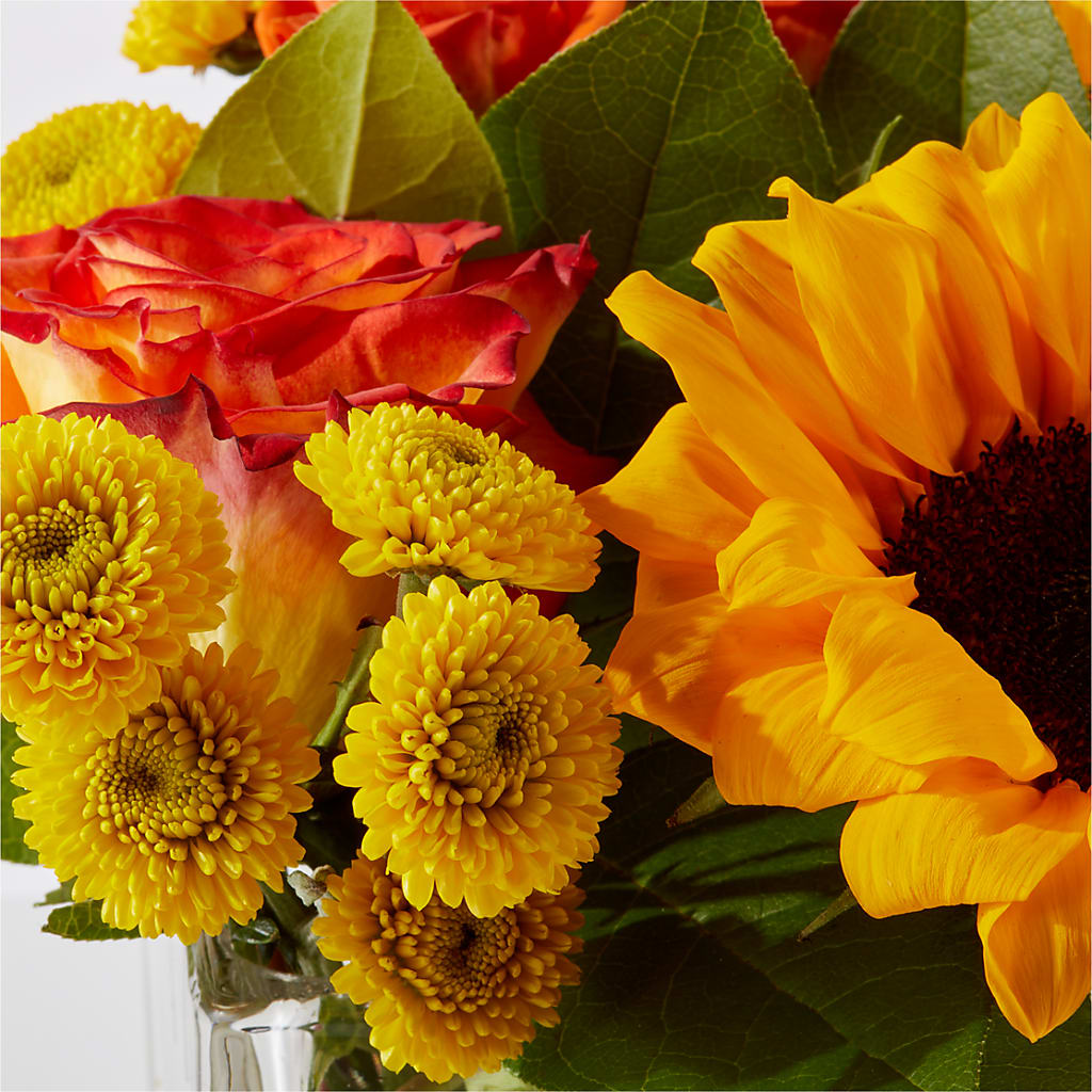 Picnic in the Park Bouquet –  Blossom Flowers And Gift, Lauderhill FL