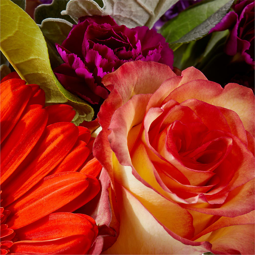 Sangria Bouquet –  Blossom Flowers And Gift, Lauderhill FL