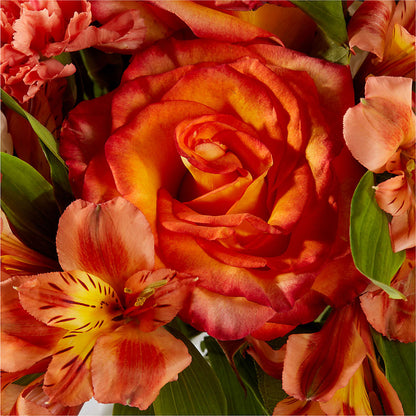 Apricot Glow Bouquet –  Blossom Flowers And Gift, Lauderhill FL