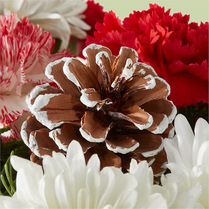 Candy Cane Lane Bouquet –  Blossom Flowers And Gift, Lauderhill FL