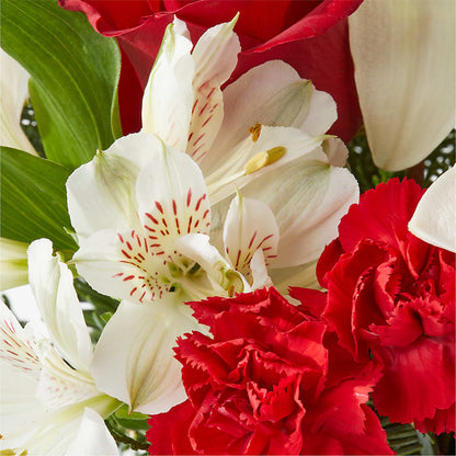 Holiday Season Bouquet –  Blossom Flowers And Gift, Lauderhill FL