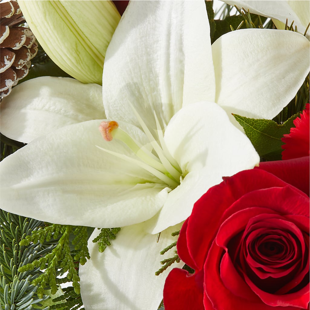 Oh So Jolly Bouquet –  Blossom Flowers And Gift, Lauderhill FL