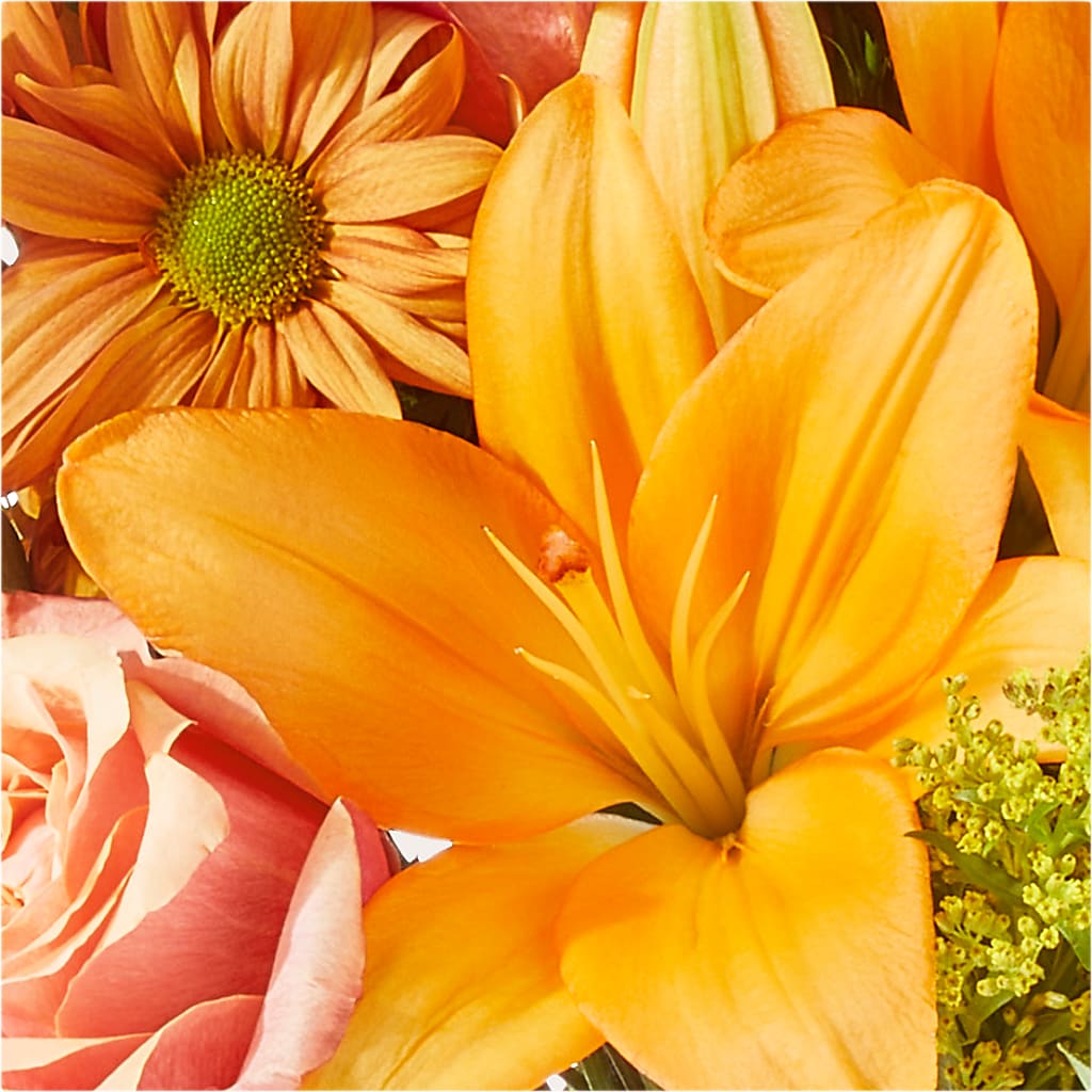 Harvest Hayride Bouquet –  Blossom Flowers And Gift, Lauderhill FL