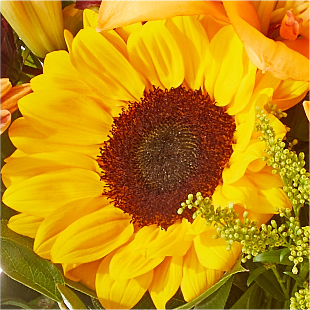 Seasons Change Bouquet –  Blossom Flowers And Gift, Lauderhill FL