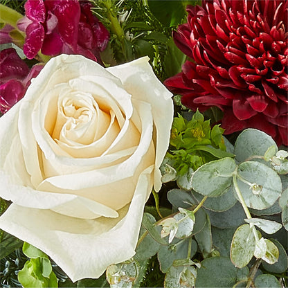 Cranberry Fizz Bouquet –  Blossom Flowers And Gift, Lauderhill FL