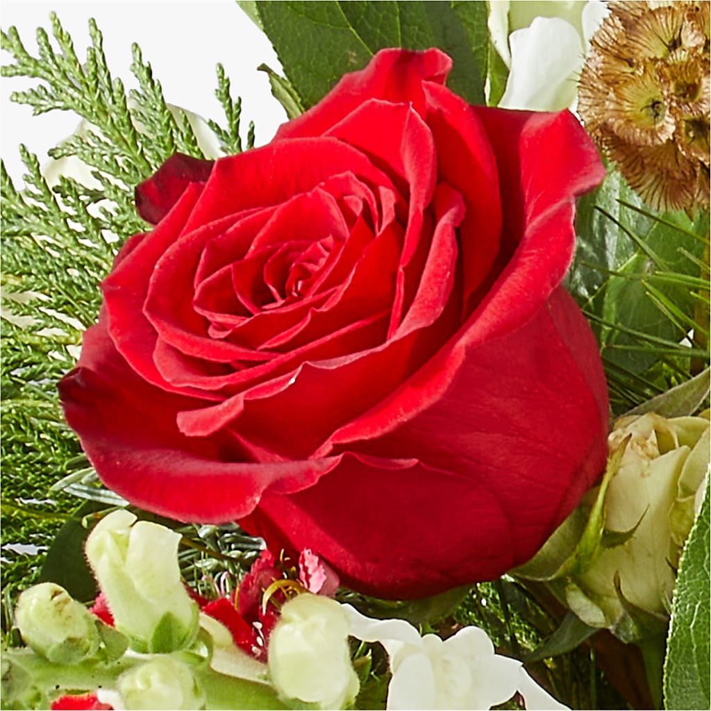 Deck the Halls Bouquet –  Blossom Flowers And Gift, Lauderhill FL