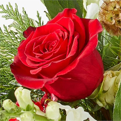 Deck the Halls Bouquet –  Blossom Flowers And Gift, Lauderhill FL