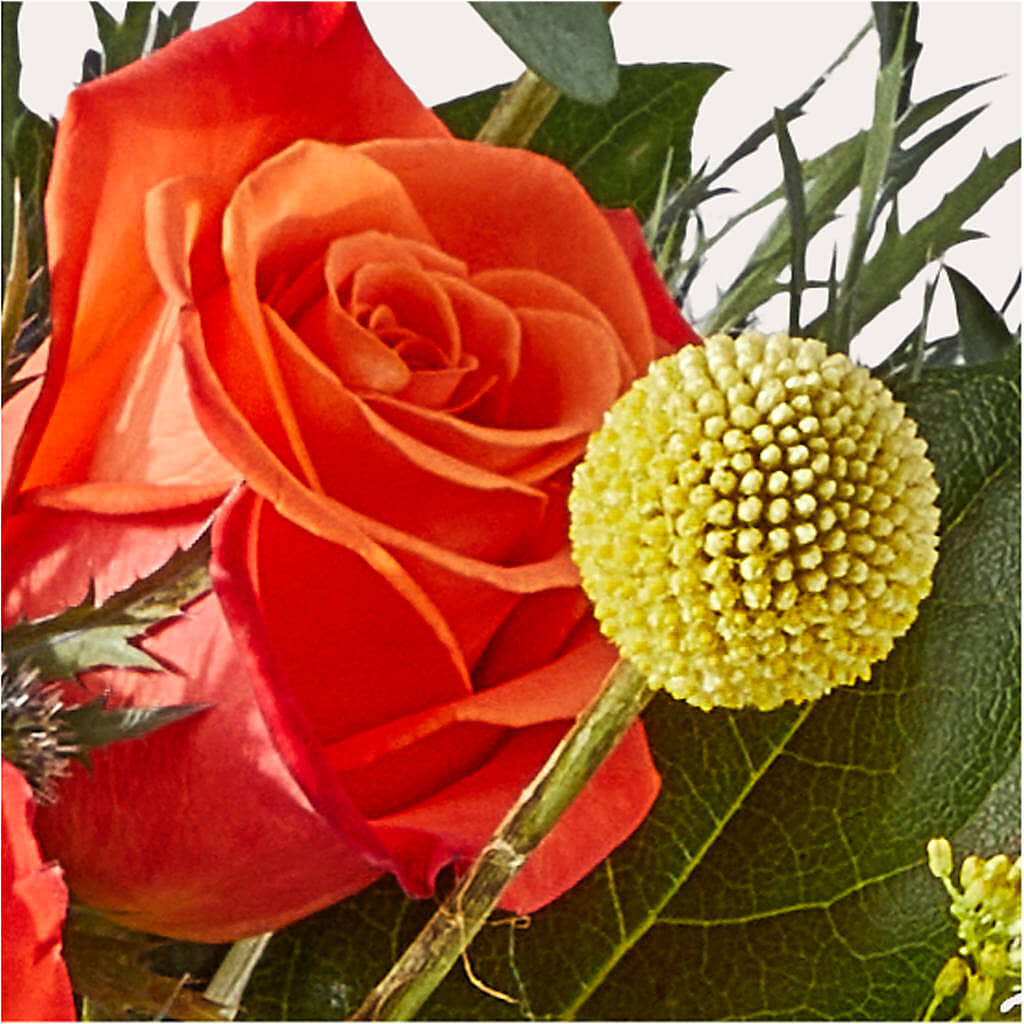 Disco Bouquet –  Blossom Flowers And Gift, Lauderhill FL