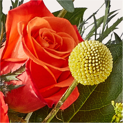 Disco Bouquet –  Blossom Flowers And Gift, Lauderhill FL