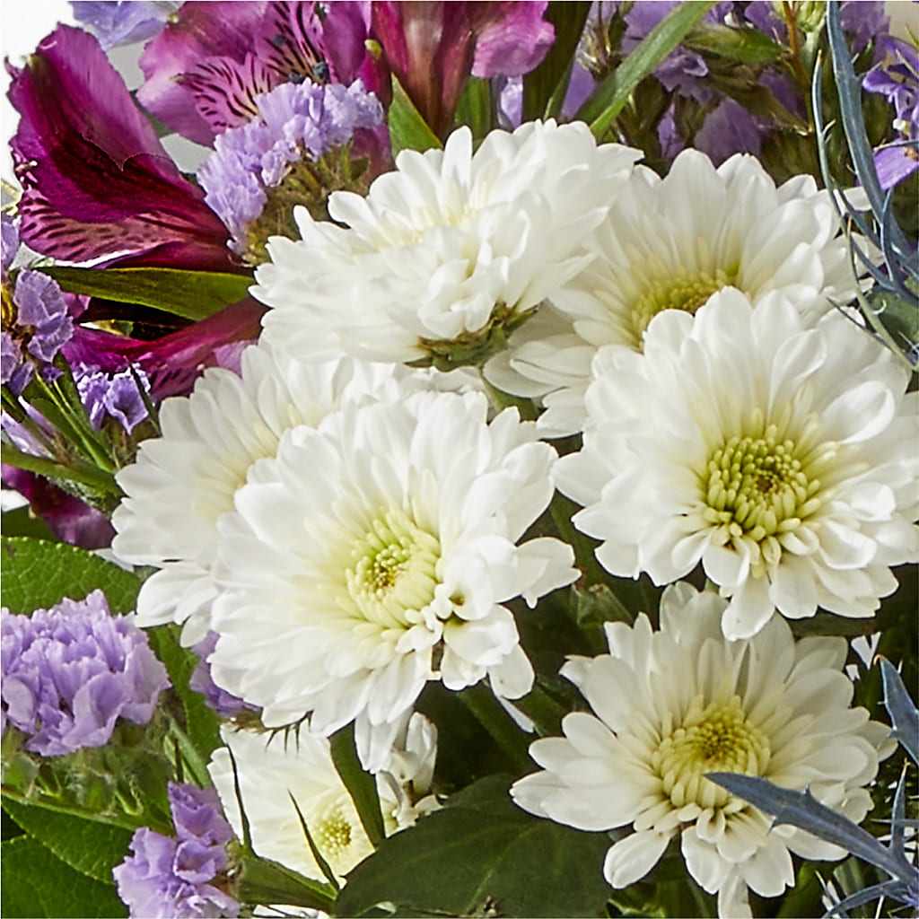 Shooting Star Bouquet –  Blossom Flowers And Gift, Lauderhill FL