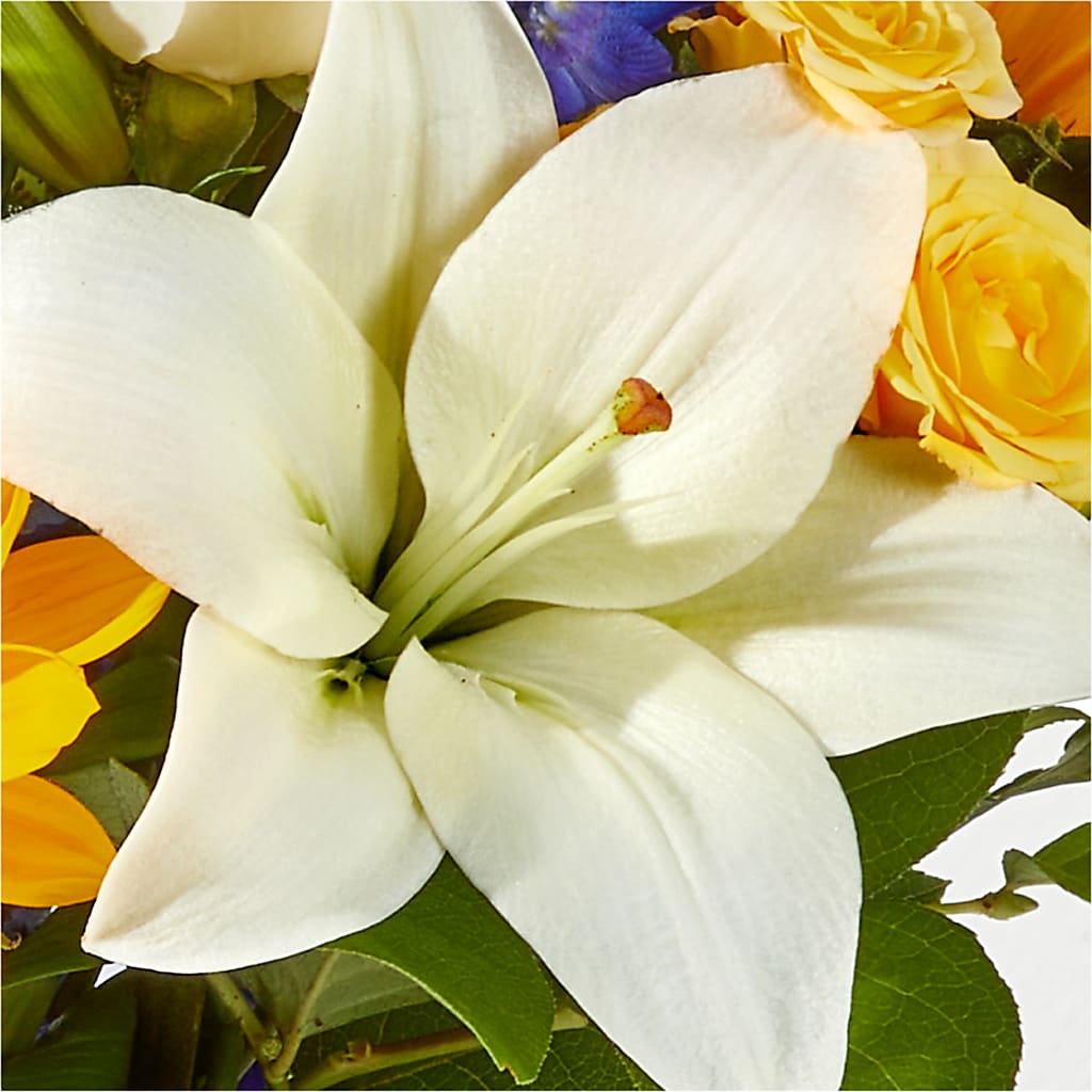 Wonderfully Sunny Bouquet –  Blossom Flowers And Gift, Lauderhill FL