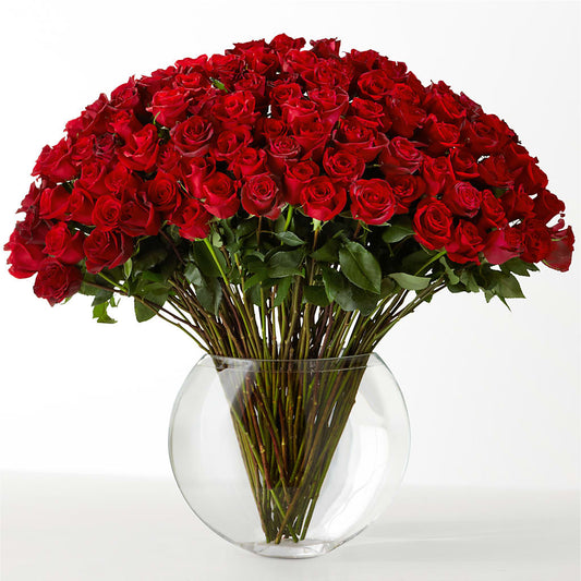The Idealist –  Blossom Flowers And Gift, Lauderhill FL