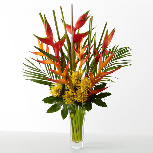 The Drama –  Blossom Flowers And Gift, Lauderhill FL