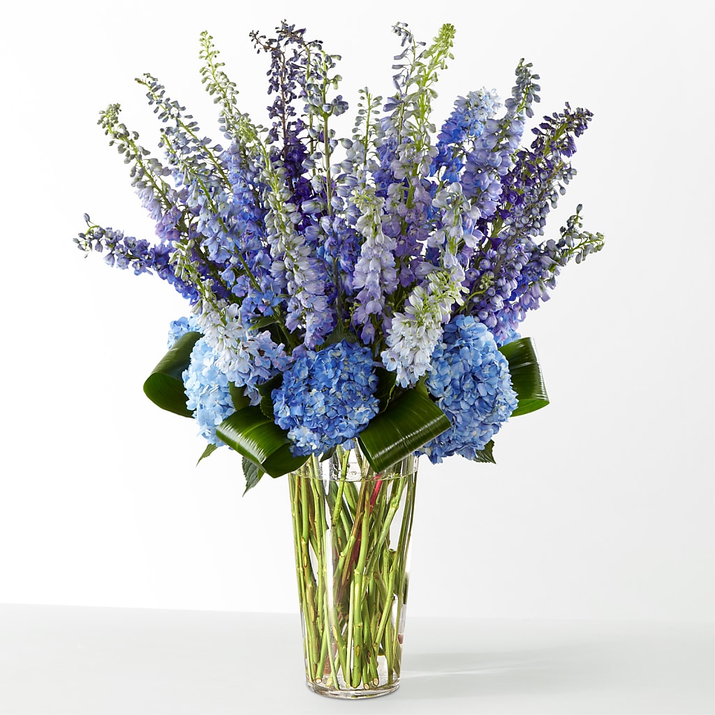 The Editorial –  Blossom Flowers And Gift, Lauderhill FL